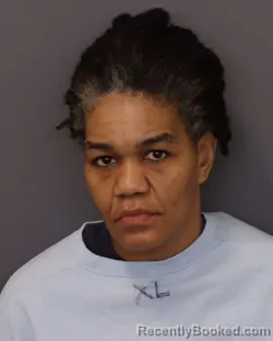 Mugshot of TICIDA MARIE AYERS booked in Dakota County, Minnesota on March 27, 2026