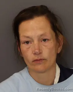 Mugshot of MELISSA ALLYSON DARGIEWICZ booked in Dakota County, Minnesota on March 27, 2026