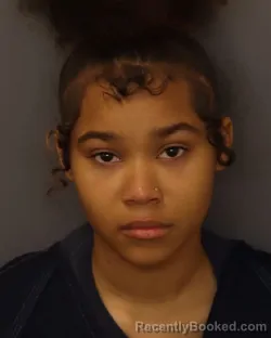 Mugshot of HARMONEI ICARA LYN LOVE booked in Dakota County, Minnesota on March 27, 2026