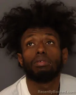 Mugshot of MOHAMED KHARY NOOR ABDI booked in Dakota County, Minnesota on March 28, 2026