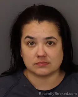 Mugshot of JESSICA JEAN ANDERSON booked in Dakota County, Minnesota on March 28, 2026