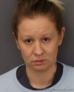 Mugshot of TARYN ROSE TILLMAN booked in Dakota County, Minnesota on March 28, 2026