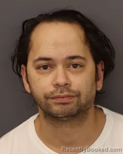 Mugshot of EVAN ALLAN OLSON booked in Dakota County, Minnesota on March 28, 2026