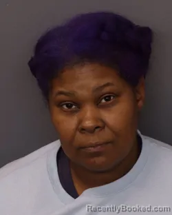 Mugshot of LAKEISHA NICOLE COLLINS booked in Dakota County, Minnesota on March 29, 2026