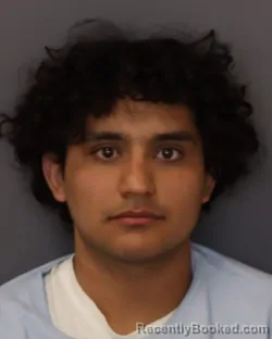 Mugshot of SUAMY ALEXANDER CONTRERAS RODAS booked in Dakota County, Minnesota on March 29, 2026