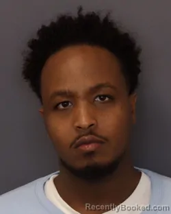 Mugshot of ABDIKADIR ALI AHMED booked in Dakota County, Minnesota on March 29, 2026