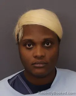 Mugshot of MAHOGANY ESSENCE LOGGINS booked in Dakota County, Minnesota on March 29, 2026