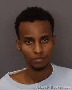 Mugshot of FAYSAL ADAM BERIS booked in Dakota County, Minnesota on March 29, 2026