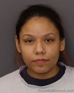 Mugshot of JAYCIA LACE LITTLEOWL booked in Dakota County, Minnesota on March 29, 2026