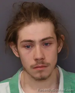 Mugshot of LEXANI DOUGLAS REEVES booked in Dakota County, Minnesota on March 30, 2026