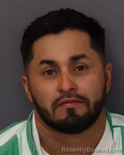 Mugshot of HIUBER MAURICO MELGAR-TEJADA booked in Dakota County, Minnesota on March 30, 2026