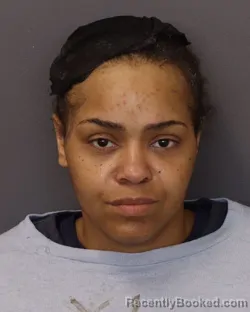 Mugshot of KANEESHA MONIQUE SIMS booked in Dakota County, Minnesota on March 30, 2026