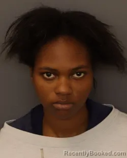 Mugshot of SHANAY AYANNA JOHNSON booked in Dakota County, Minnesota on March 30, 2026