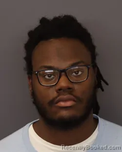 Mugshot of IINDAY LAKEITH BROWN booked in Dakota County, Minnesota on March 30, 2026