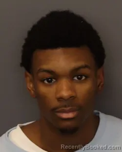 Mugshot of III TRAMBLE booked in Dakota County, Minnesota on March 30, 2026