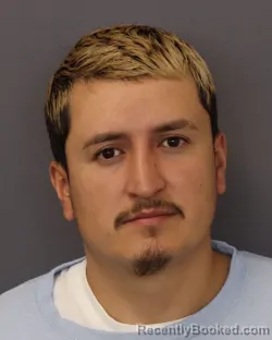 Mugshot of DANIEL RICARDO MENDEZ RIERA booked in Dakota County, Minnesota on March 31, 2026