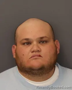 Mugshot of JONATHAN CARILLO LEON booked in Dakota County, Minnesota on March 31, 2026