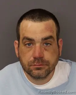 Mugshot of MICHAEL JOSEPH MCLANE booked in Dakota County, Minnesota on March 31, 2026