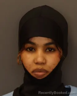 Mugshot of SOUMAYA ALI ABDI booked in Dakota County, Minnesota on March 31, 2026