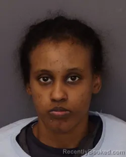 Mugshot of MANTAZ MOHAMED DAHIR booked in Dakota County, Minnesota on April 1, 2026