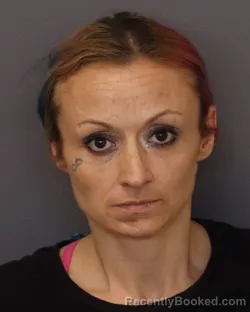 Mugshot of BRENDA LEE HENERY booked in Dakota County, Minnesota on April 1, 2026