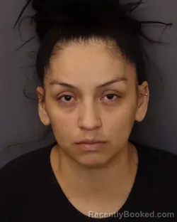 Mugshot of LETICIA GUZMAN MEZA booked in Dakota County, Minnesota on April 1, 2026