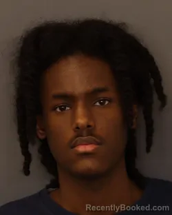 Mugshot of ANAS MAHAMED ALI booked in Dakota County, Minnesota on April 2, 2026