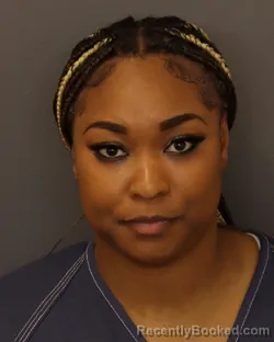 Mugshot of MICHEYLA SHANTAVIA LANE booked in Dakota County, Minnesota on April 2, 2026