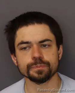 Mugshot of TANNER JAMES MILLS booked in Dakota County, Minnesota on April 3, 2026