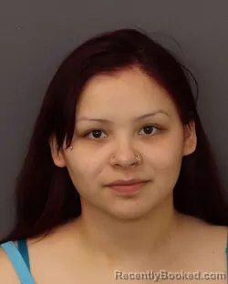 Mugshot of NISAYENH SOULINA PEAKE-WILKINS booked in Dakota County, Minnesota on April 3, 2026