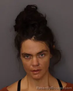 Mugshot of NICOLE MARIE BASTYR booked in Dakota County, Minnesota on April 3, 2026