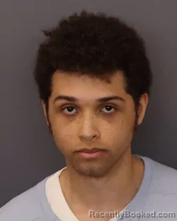 Mugshot of ANTHONY JAMES JOHNSON booked in Dakota County, Minnesota on April 3, 2026