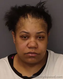 Mugshot of CRYSTAL MONIQUE ETHERIDGE-LEWIS booked in Dakota County, Minnesota on April 4, 2026