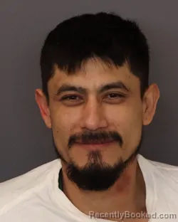 Mugshot of LUIS ALEJANDRO PINEDA VOLANOS booked in Dakota County, Minnesota on April 4, 2026