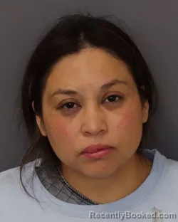 Mugshot of LAURA PATRICA BUSTOS DE HERNANDEZ booked in Dakota County, Minnesota on April 4, 2026