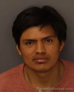 Mugshot of LUIS NELSON TOCTE CUNDULLE booked in Dakota County, Minnesota on April 4, 2026