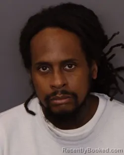 Mugshot of JAMELLE ISAIAH JOHNSON booked in Dakota County, Minnesota on April 4, 2026