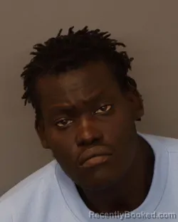 Mugshot of DUOP PIDOR booked in Dakota County, Minnesota on April 4, 2026