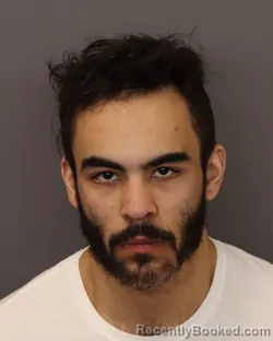 Mugshot of ANTHONEY DEVONTE TOLES booked in Dakota County, Minnesota on April 4, 2026