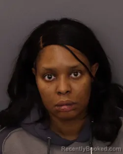 Mugshot of MERCEDES RAQUEL MITCHELL booked in Dakota County, Minnesota on April 4, 2026