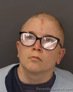 Mugshot of CHRISTINA ANN PENFIELD booked in Dakota County, Minnesota on April 4, 2026