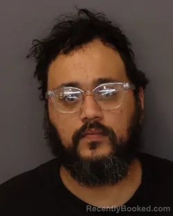 Mugshot of LARSON LAMAR BRANT booked in Dakota County, Minnesota on April 24, 2026