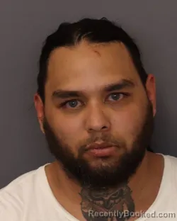 Mugshot of ERIC CHRISTOPHER RANSOM booked in Dakota County, Minnesota on April 24, 2026