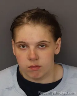 Mugshot of Haylee Dawn Sullivan booked in Dakota County, Minnesota on May 8, 2026