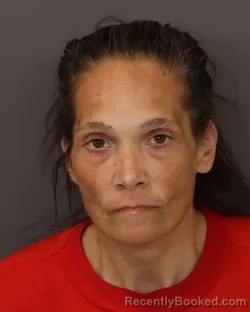 Booking photo from Dakota County, Minnesota