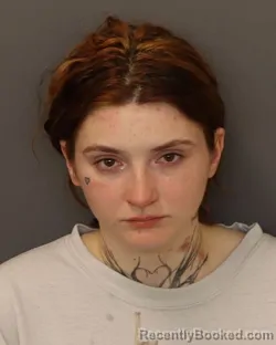 Mugshot of Gracelyn Sue Storlie booked in Dakota County, Minnesota on May 10, 2026