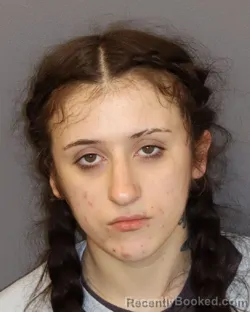Mugshot of Kaylee Navaeh Boyce booked in Dakota County, Minnesota on May 25, 2026