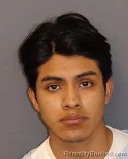 Mugshot of Anthony Jair Lucero Solano booked in Dakota County, Minnesota on May 26, 2026