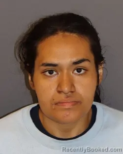 Mugshot of Flor Stephanie Castillo booked in Dakota County, Minnesota on May 28, 2026