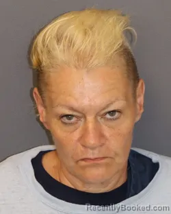 Mugshot of Martie Ann Thornton booked in Dakota County, Minnesota on May 28, 2026